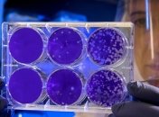 Минздрав: В Украину прибудет партия двух видов тестов на COVID-19