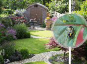 Вредного клопа заметили в Украине