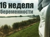 Как выглядит живот на 16 неделе беременности: 12 фото из Инстаграма