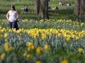 Погода на сегодня: почти во всей Украине будет солнечно и жарко