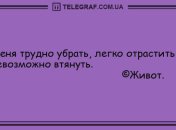 Продолжаем веселье: подборка смешных анекдотов на вечер
