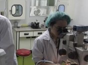 Обнаружен новый гормон