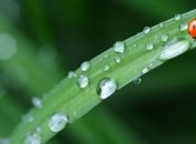 7 березня: яке сьогодні свято і що не можна робити в цей день