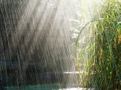 Сильный ветер, дожди и град: на западе Украины объявили штормовое предупреждение