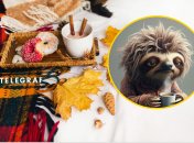 Не все готовы смириться с наступающими холодами