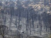 Пожар в Аризоне: власти говорят о 19 погибших пожарных (Видео) 