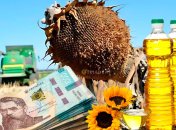 Колаж "Телеграфа"