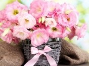 Красивые поздравления с Татьяниным днем 