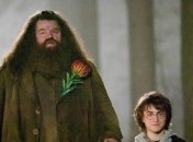 «Фантастические твари»: Эдди Редмэйн хочет ввести образ Хагрида в фильм