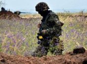 МИД РФ пояснил, в чем сложность возвращения оккупированного Донбасса в состав Украины