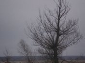 Прогноз погоды в Украине на 5 декабря: облачно, без осадков 