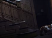 Хэллоуин близится: взгляните на "первый в мире фильм ужасов для кошек" (Видео)