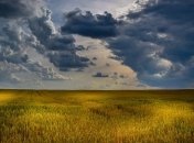 Рынок земли: что думают украинцы  