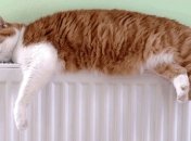 В Чернигове начался отопительный сезон