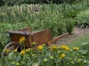 Завершать огородный сезон нужно грамотно