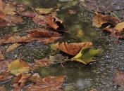 Затяжні дощі та похолодання: на яку погоду чекати українцям на новому тижні