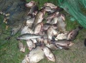 В Одессе задержаны чиновники, обогащавшиеся на вылове и продаже рыбы