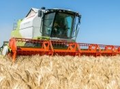 В Минагропроде заверили, что украинцам хватит зерна 