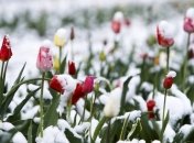 Украину еще может накрыть снег в апреле: названа дата