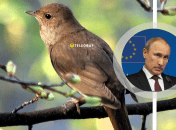 Эта фамилия популярна в России