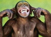 Самые смешные демотиваторы, которые поднимут настроение на целый вечер 