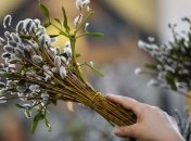 Сегодня отмечают Вербное воскресенье: Что нельзя делать в День входа Иисуса Христа в Иерусалим