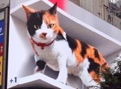 Спит, мяукает и смотрит на прохожих: в Токио на рекламном щите "поселился" огромный 3D кот