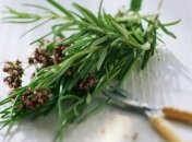 Советы по питанию для улучшения мозговой деятельности