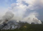 Россияне митинговали против лесных пожаров Сибири