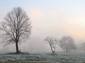 Прогноз погоды в Украине на 11 декабря: холодно, без осадков