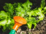 Календар для городників та садівників