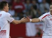 Коноплянка получил травму