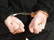 Группу серийных воров задержали на Житомирщине