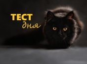 Ворожіння по картинці