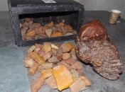 Украинец пытался вывезти в Польшу 4 кг янтаря в аккумуляторе (Видео)