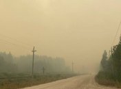 Масштабный лесной пожар вспыхнул под Питером, огонь уже добрался до деревень (видео)