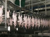 Украина ограничила импорт птицы из Болгарии и Венгрии