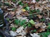 Латвия обучит украинских военных нейтрализации боеприпасов