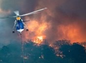 Из-за лесных пожаров на востоке Австралии объявили массовую эвакуацию 