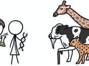 Может ли математика расшифровать узоры животных (Видео)