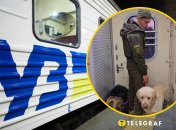 Военный ехал с собакой в тамбуре 3 часа