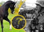 Этот артефакт объединяет лошадей и солдат вермахта