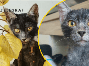 Иллюстративное фото