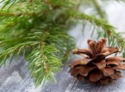 Старый Новый год: история праздника, традиции, приметы