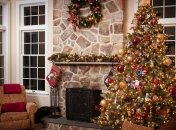 Желтая Земляная Свинья: все, что нужно знать о символе Нового года 2019 