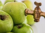 Украина нарастила экспорт соков