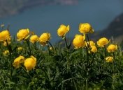 Евсеев день: народные приметы и запреты 5 июля