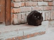 Народные приметы про порог