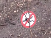 Террористы подорвались на минном поле