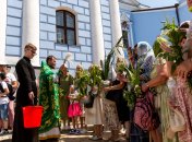 Какие цветы и растения нужно принести в дом на Троицу